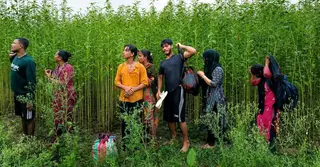 কুষ্টিয়ার সীমান্তে ৮ জনকে পুশ ইনের চেষ্টা, প্রতিহত করলো বিজিবি
